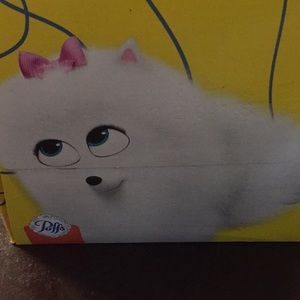 Meet your Posher, Andy